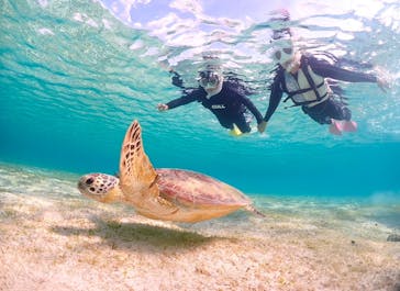 宮古島マリンショップSmileyに投稿された画像（2025/3/24）