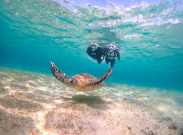 宮古島マリンショップSmileyに投稿された画像（2025/3/24）