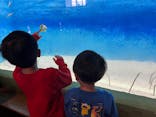 大分マリーンパレス水族館 「うみたまご」に投稿された画像（2025/3/24）
