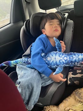 大分マリーンパレス水族館 「うみたまご」に投稿された画像（2025/3/24）