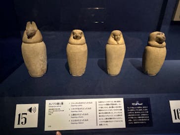 ブルックリン博物館所蔵 特別展 古代エジプトに投稿された画像（2025/3/24）