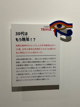 ブルックリン博物館所蔵 特別展 古代エジプトに投稿された画像（2025/3/24）