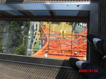 東京タワーに投稿された画像（2025/3/24）