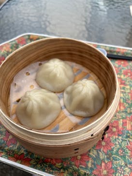 野外民族博物館 リトルワールドに投稿された画像（2025/3/24）