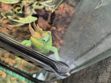 いきもの探検隊上尾に投稿された画像（2025/3/24）