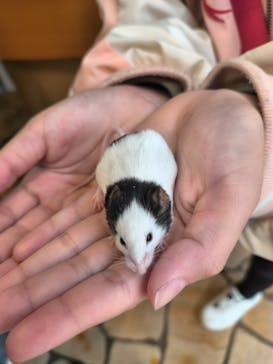 いきもの探検隊上尾に投稿された画像（2025/3/24）