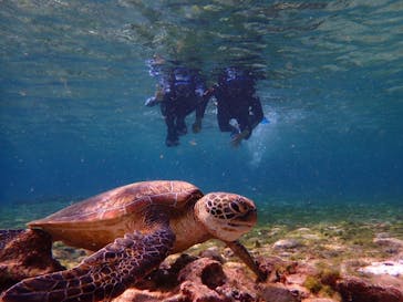 宮古島 ADVENTURE PiPi（ミヤコジマ アドベンチャー ピピ）に投稿された画像（2025/3/24）