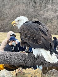 那須町観光協会に投稿された画像（2025/3/24）