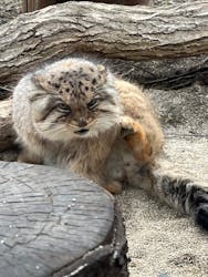 那須町観光協会に投稿された画像（2025/3/24）