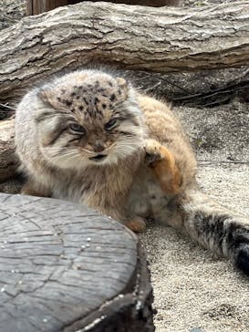 那須町観光協会に投稿された画像（2025/3/24）