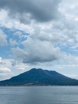 仙巌園に投稿された画像（2025/3/24）