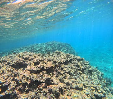 マーレ石垣島に投稿された画像（2025/3/24）