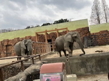 東武動物公園に投稿された画像（2025/3/24）