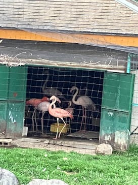 東武動物公園に投稿された画像（2025/3/24）