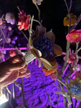 NAKED meets 二条城 2025 観月に投稿された画像（2025/3/24）