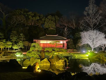 NAKED meets 二条城 2025 観月に投稿された画像（2025/3/24）