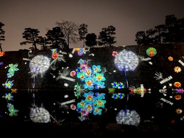 NAKED meets 二条城 2025 観月に投稿された画像（2025/3/24）