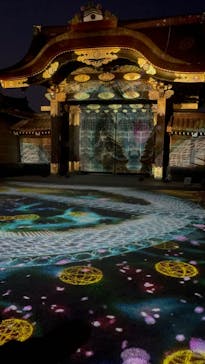 NAKED meets 二条城 2025 観月に投稿された画像（2025/3/24）