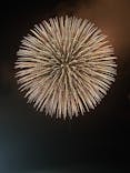大洗海上花火大会 OARAI HANABI FESに投稿された画像（2025/3/24）
