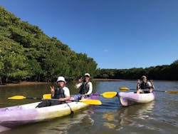 CHOROに投稿された画像（2025/3/24）