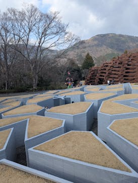 彫刻の森美術館に投稿された画像（2025/3/24）