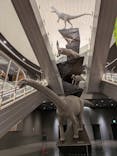 福井県立恐竜博物館に投稿された画像（2025/3/25）