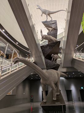 福井県立恐竜博物館に投稿された画像（2025/3/24）