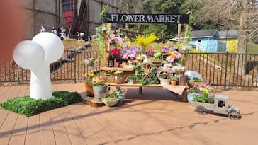 ムーミンバレーパークに投稿された画像（2025/3/24）