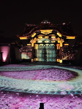 NAKED meets 二条城 2025 観月に投稿された画像（2025/3/24）