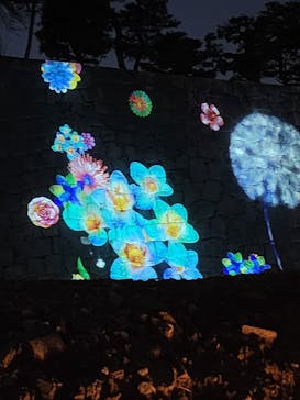 NAKED meets 二条城 2025 観月に投稿された画像（2025/3/24）