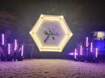 NAKED meets 二条城 2025 観月に投稿された画像（2025/3/24）