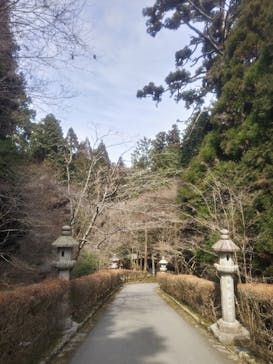 延暦寺に投稿された画像（2025/3/24）