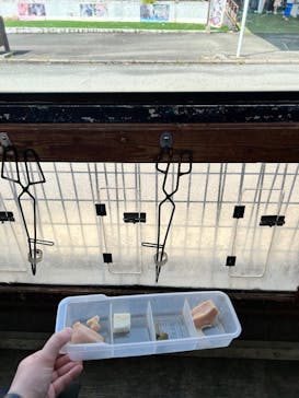 秋吉台自然動物公園 サファリランドに投稿された画像（2025/3/24）