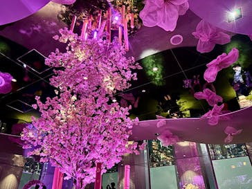 サンシャイン60展望台に投稿された画像（2025/3/24）