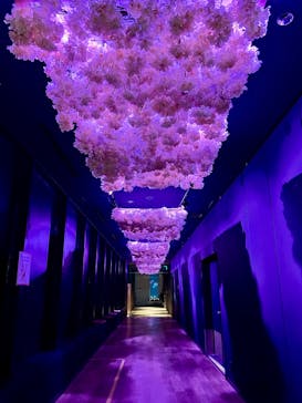 サンシャイン60展望台に投稿された画像（2025/3/24）