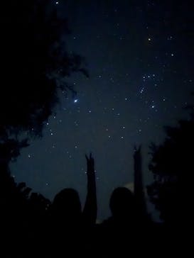 石垣島シュノーケルツアーに投稿された画像（2025/3/24）