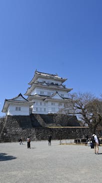 小田原城に投稿された画像（2025/3/24）