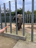 しろとり動物園に投稿された画像（2025/3/25）
