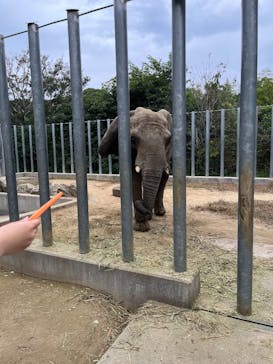 しろとり動物園に投稿された画像（2025/3/24）