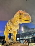 福井県立恐竜博物館に投稿された画像（2025/3/25）
