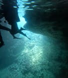 沖縄マリンサービス碧に投稿された画像（2025/3/25）