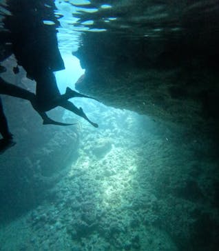 沖縄マリンサービス碧に投稿された画像（2025/3/25）