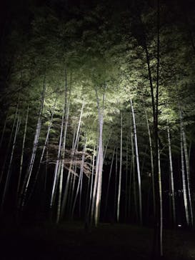 六義園に投稿された画像（2025/3/25）