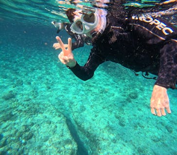 沖縄マリンサービス碧に投稿された画像（2025/3/25）