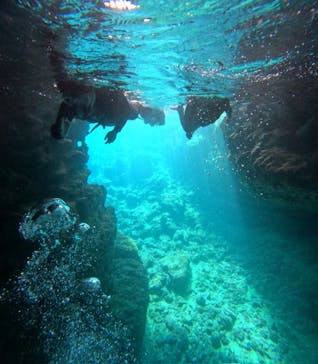 沖縄マリンサービス碧に投稿された画像（2025/3/25）