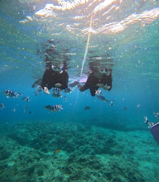 沖縄マリンサービス碧に投稿された画像（2025/3/25）