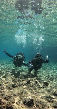 武藤潜水に投稿された画像（2025/3/25）