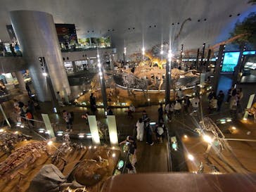 福井県立恐竜博物館に投稿された画像（2025/3/25）