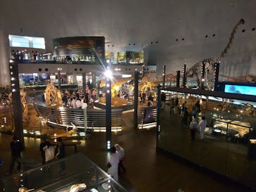 福井県立恐竜博物館に投稿された画像（2025/3/25）