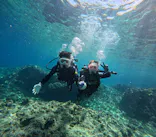 武藤潜水に投稿された画像（2025/3/25）